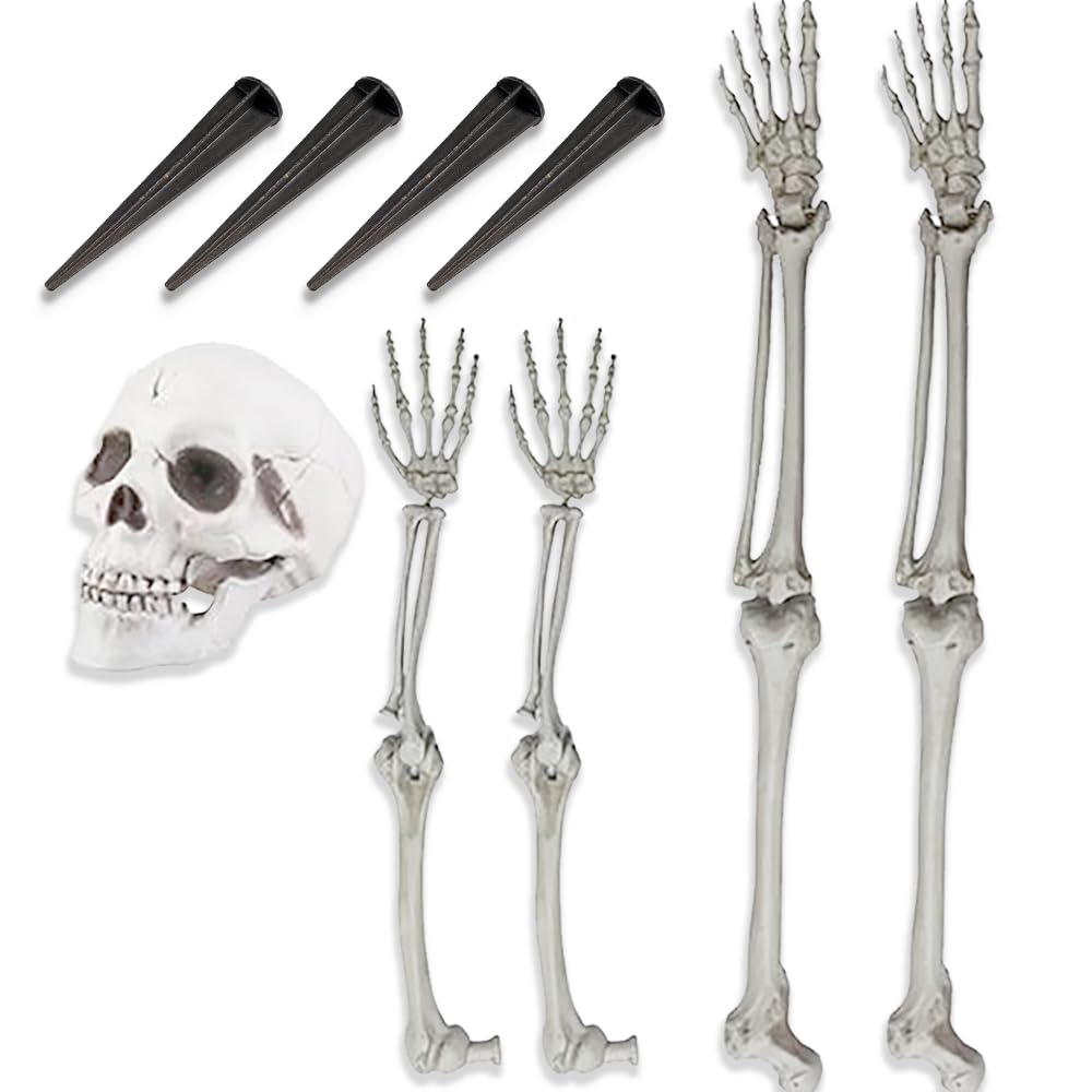 Life-Size Skeleton Halloween Decoration Y64166