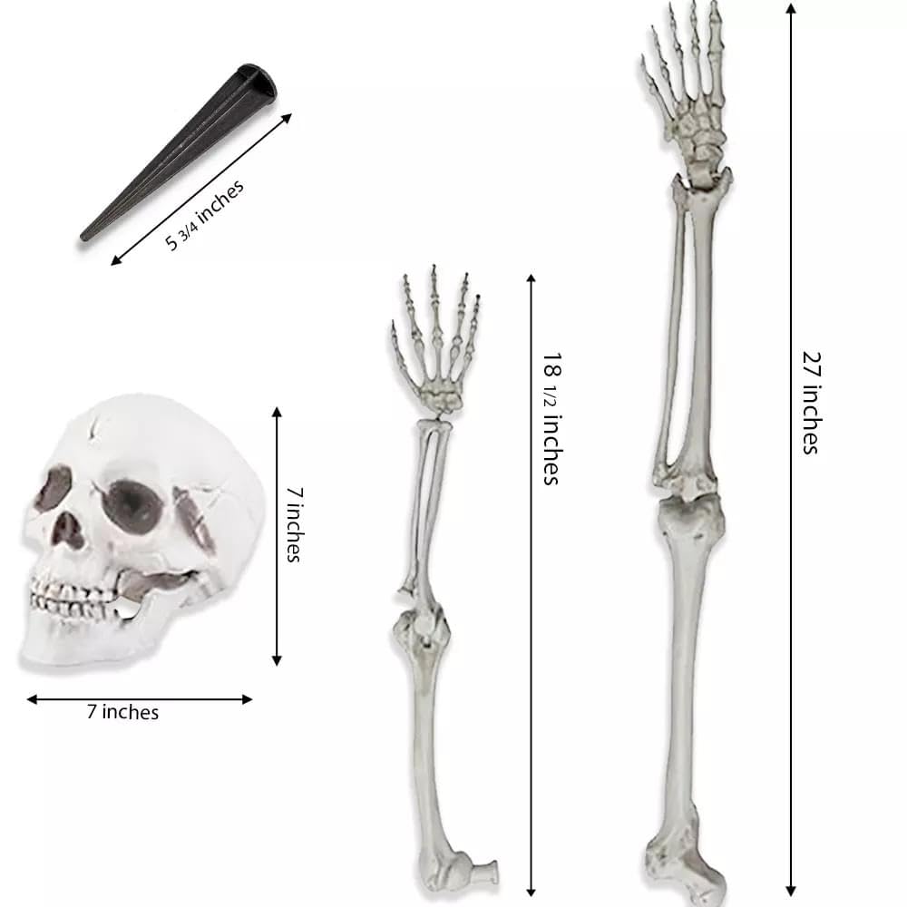 Life-Size Skeleton Halloween Decoration Y64166
