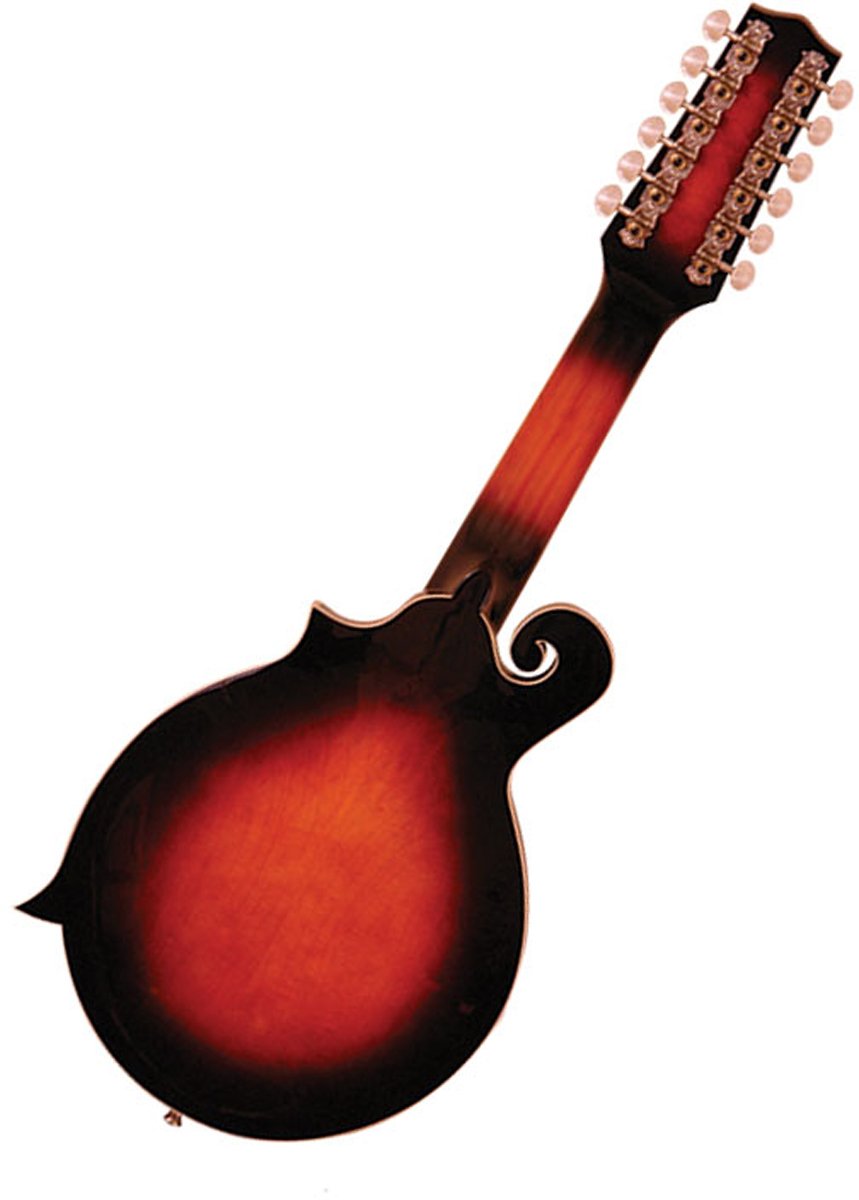 12-String Manditar with Case O882434