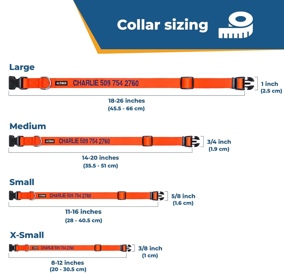 Personalized Dog Collar X5542