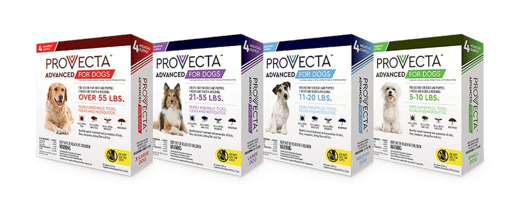 Small 5-10 lb Dog (Pack of 2) Q796