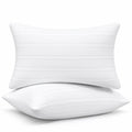 King Size Down Alternative Pillows Set of 2 Q18977