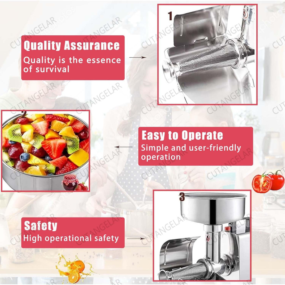 450W Automatic Stainless Steel Tomato Strainer K980189
