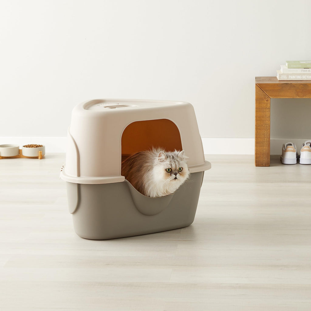 Charcoal Enclosed Cat Litter Box with Lid H103376