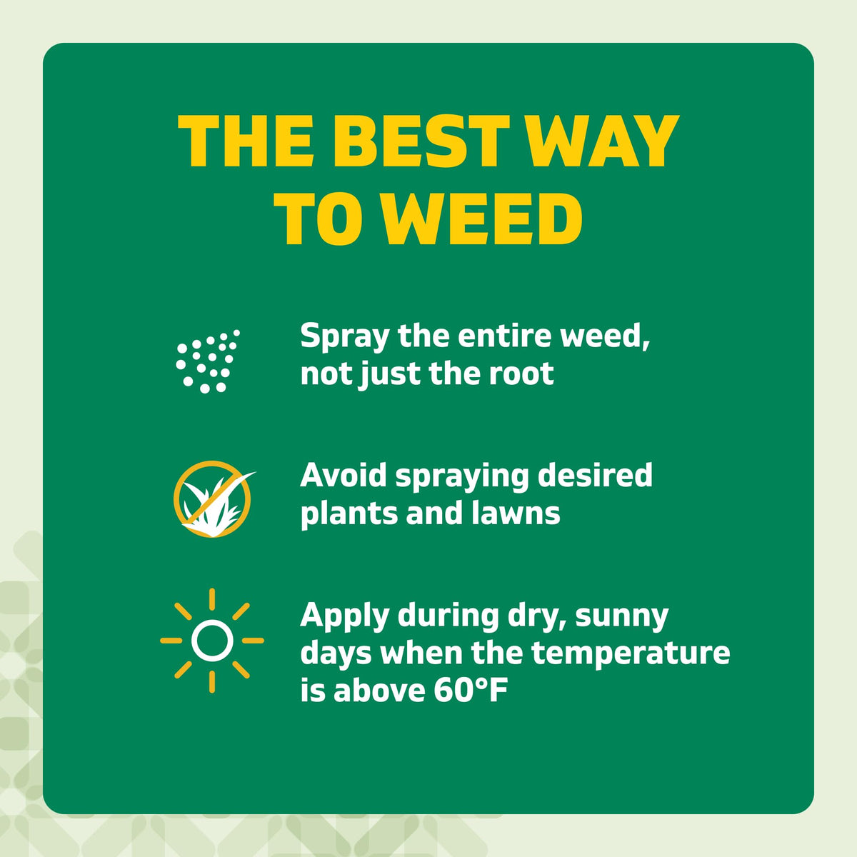 Weed & Grass Killer Kit, 64 Oz V2176