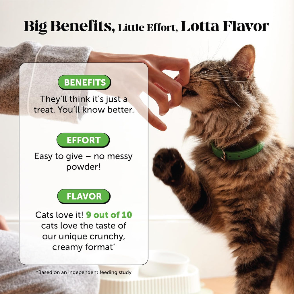 Chicken Cat Hairball Remedy Chews K67048