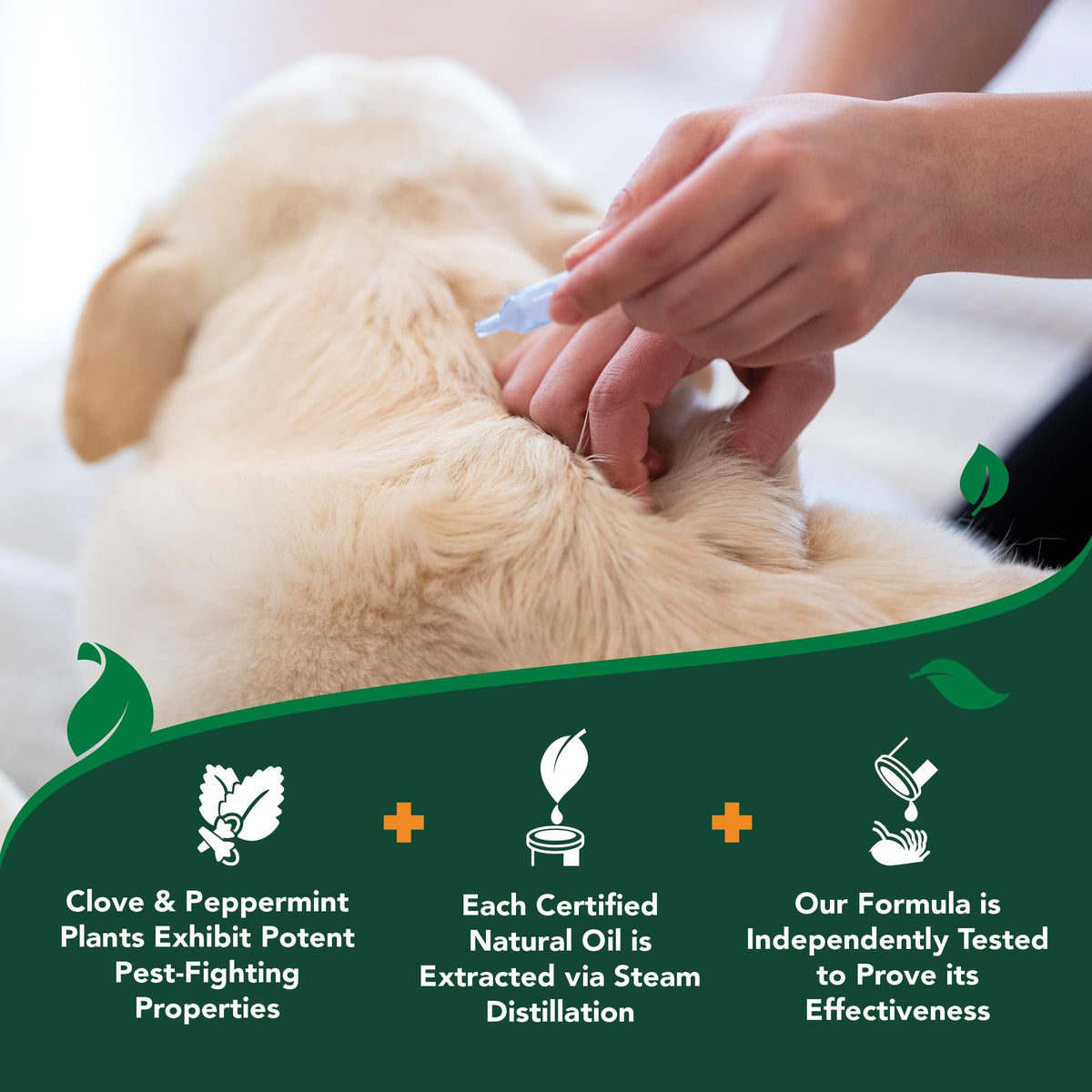 Flea & Tick Drops for Large Dogs C38303