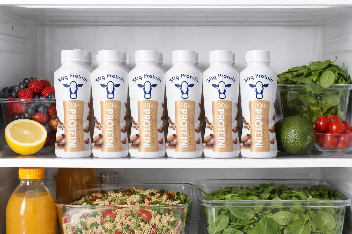 High Protein Chocolate Nutrition Shake 12 Pack 11.5 Fl Oz B1912