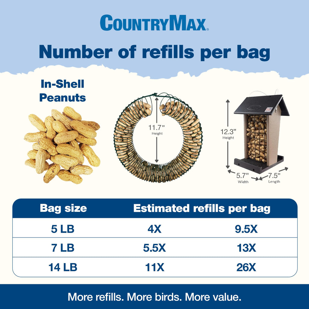 5LB In-Shell Raw Peanuts P815
