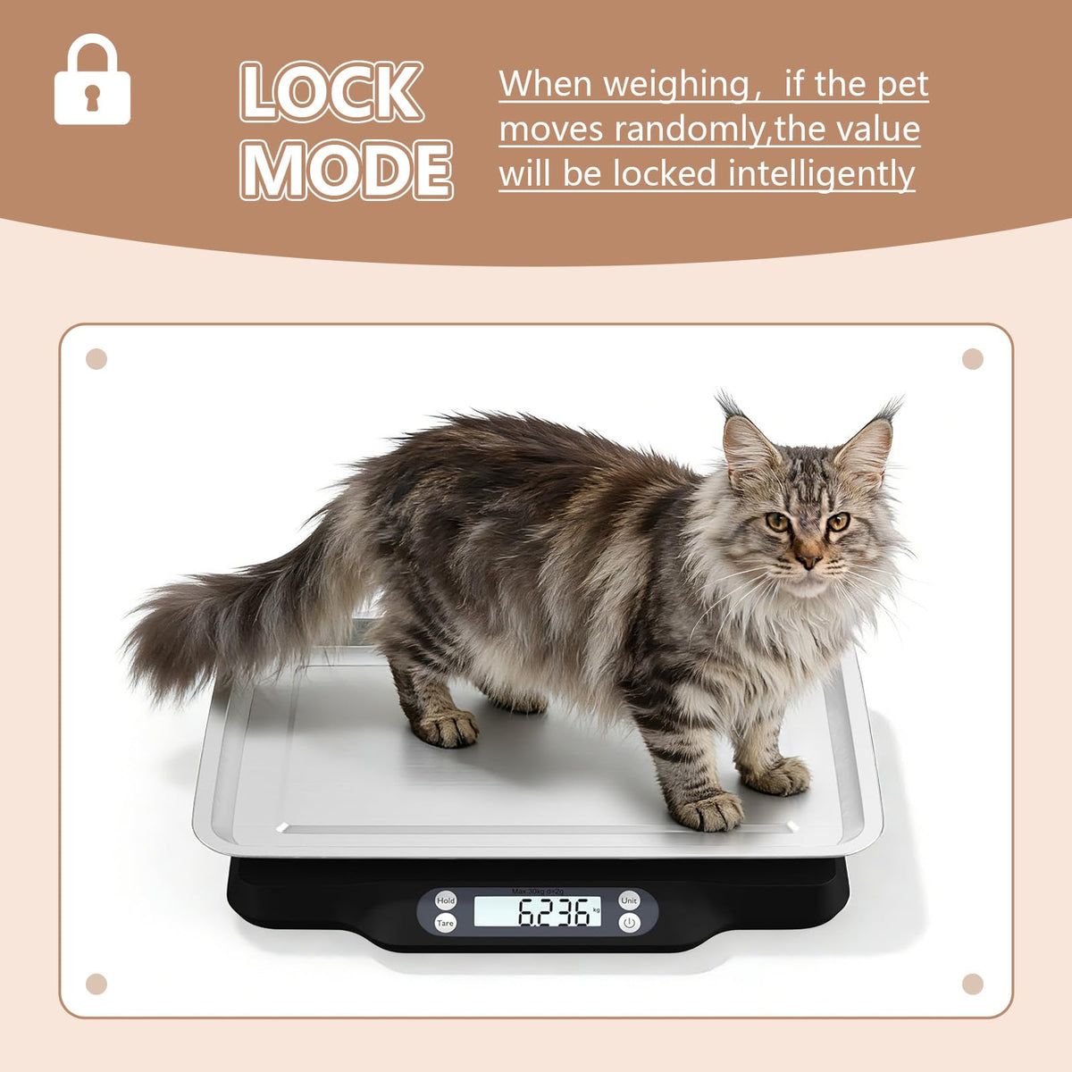 Digital Little Animal Precision Scale 30kg/2g R299