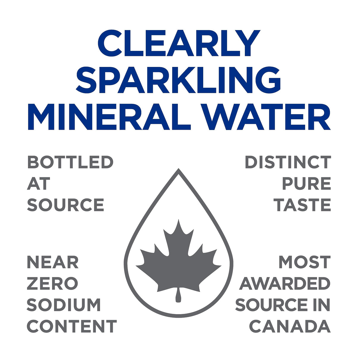 Sparkling Mineral Water 12 Bottles x 325mL R930