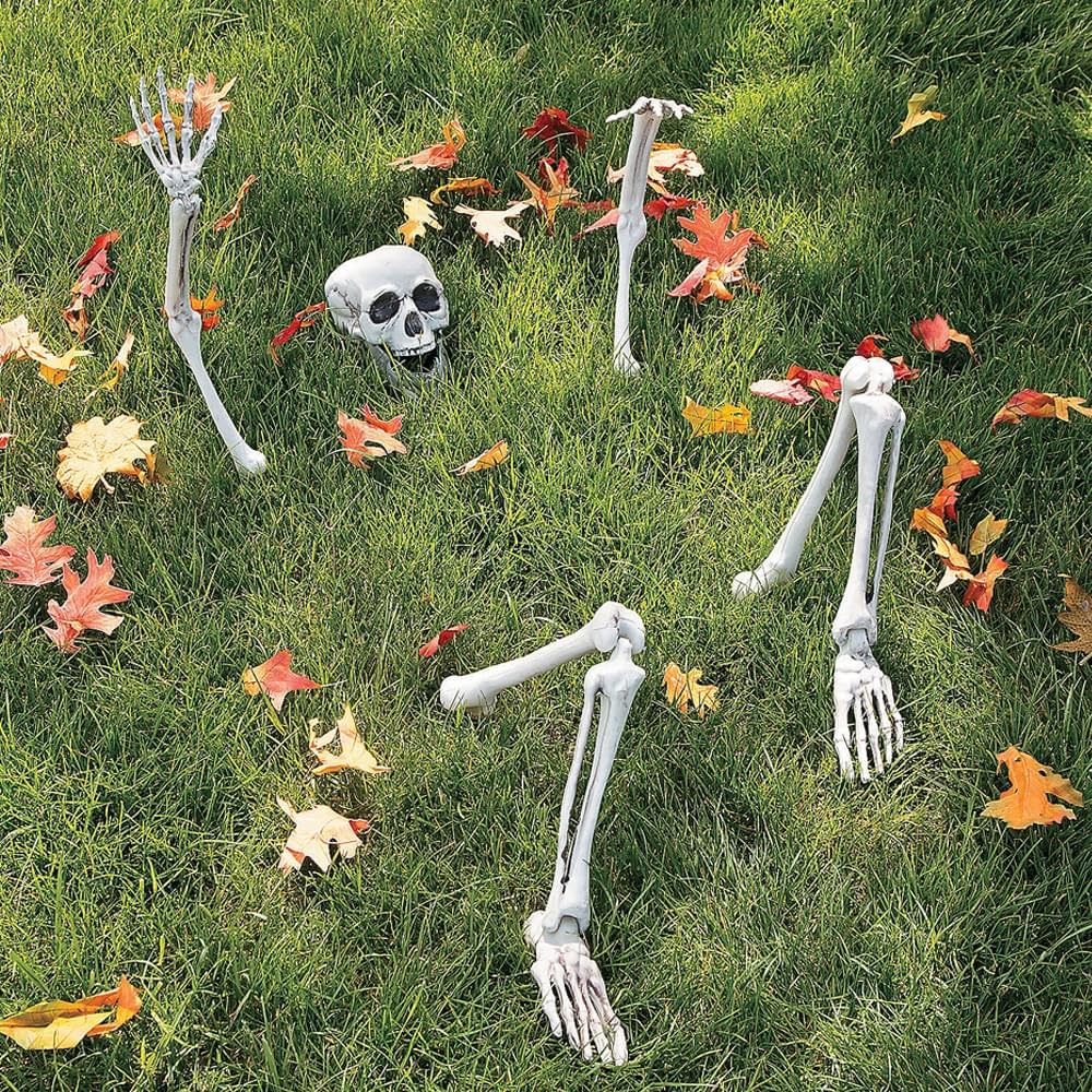 Life-Size Skeleton Halloween Decoration Y64166