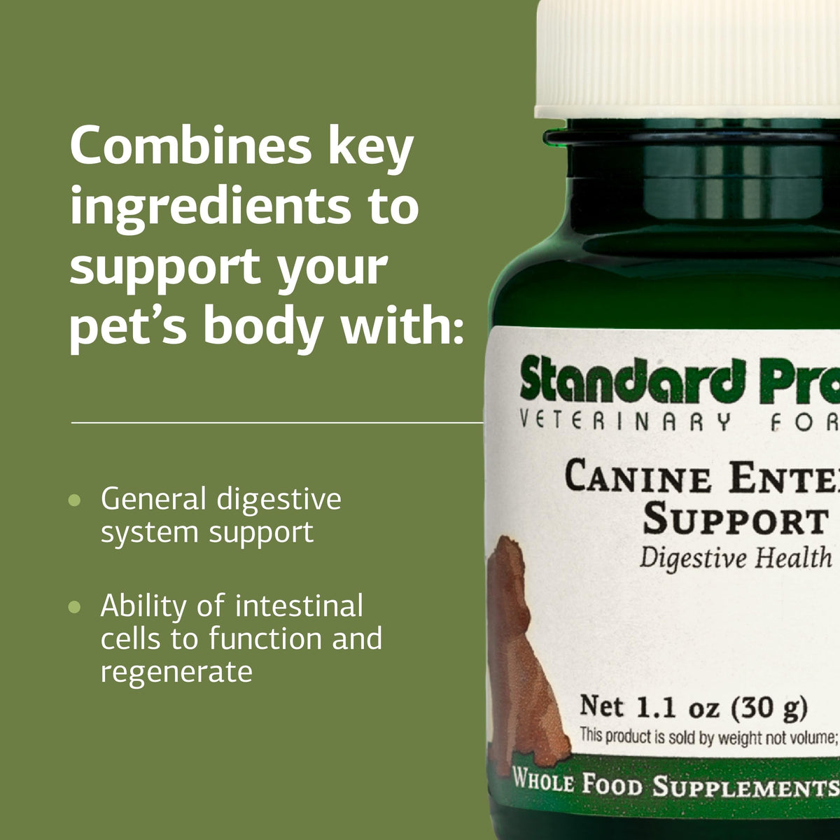 Canine Enteric Support 30 g M649864