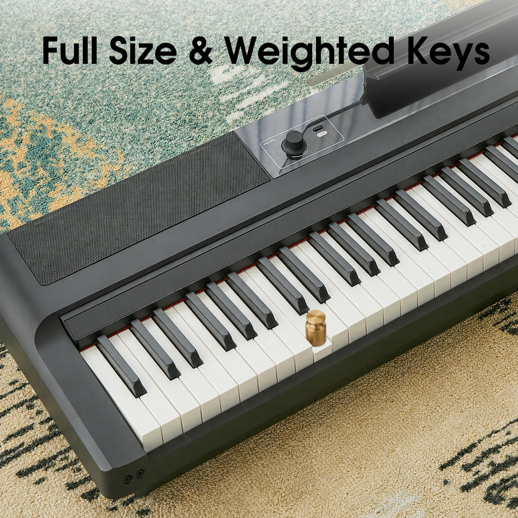 88-Key Weighted Hammer Action Digital Piano Keyboard D95041