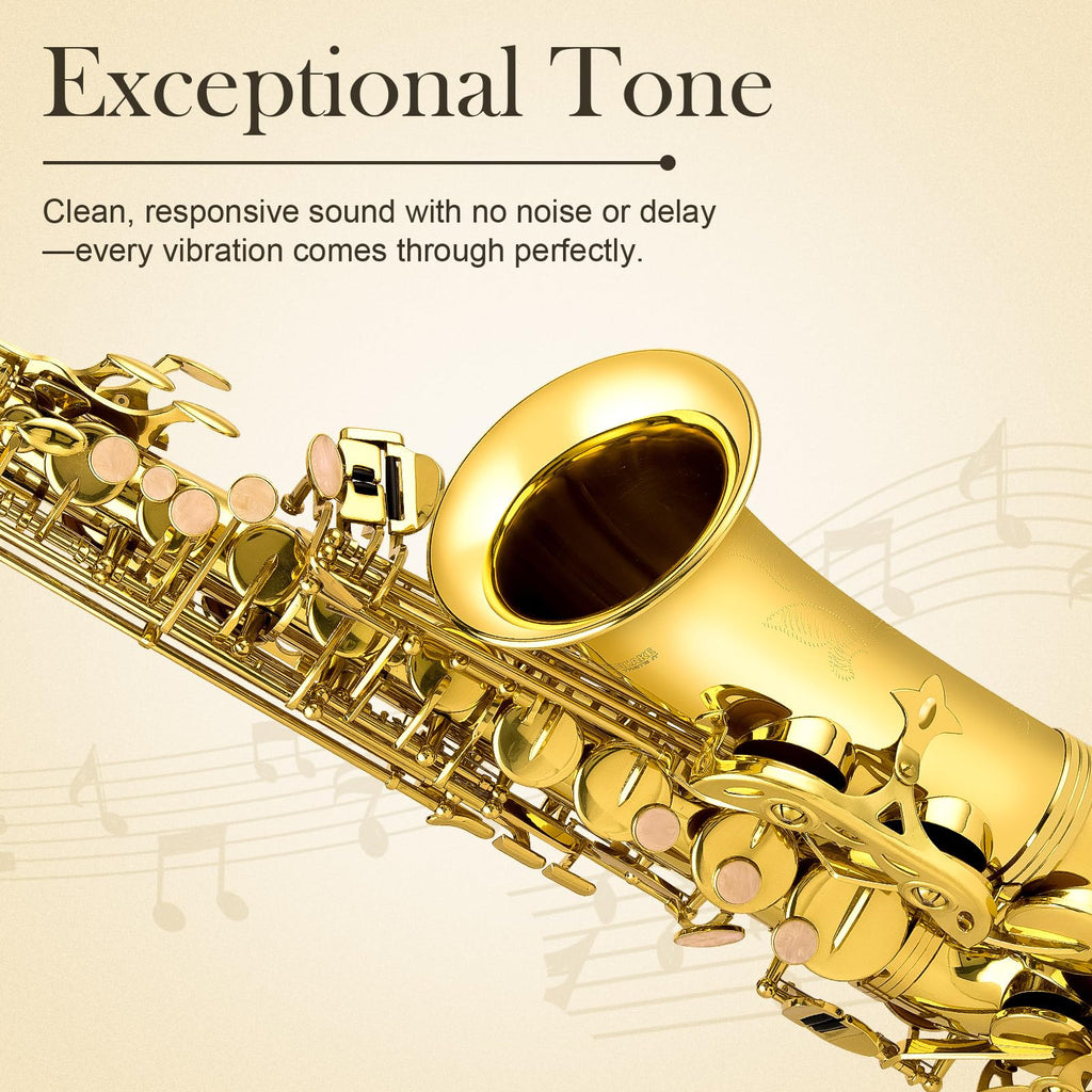 E Flat Alto Saxophone Full Kit I937
