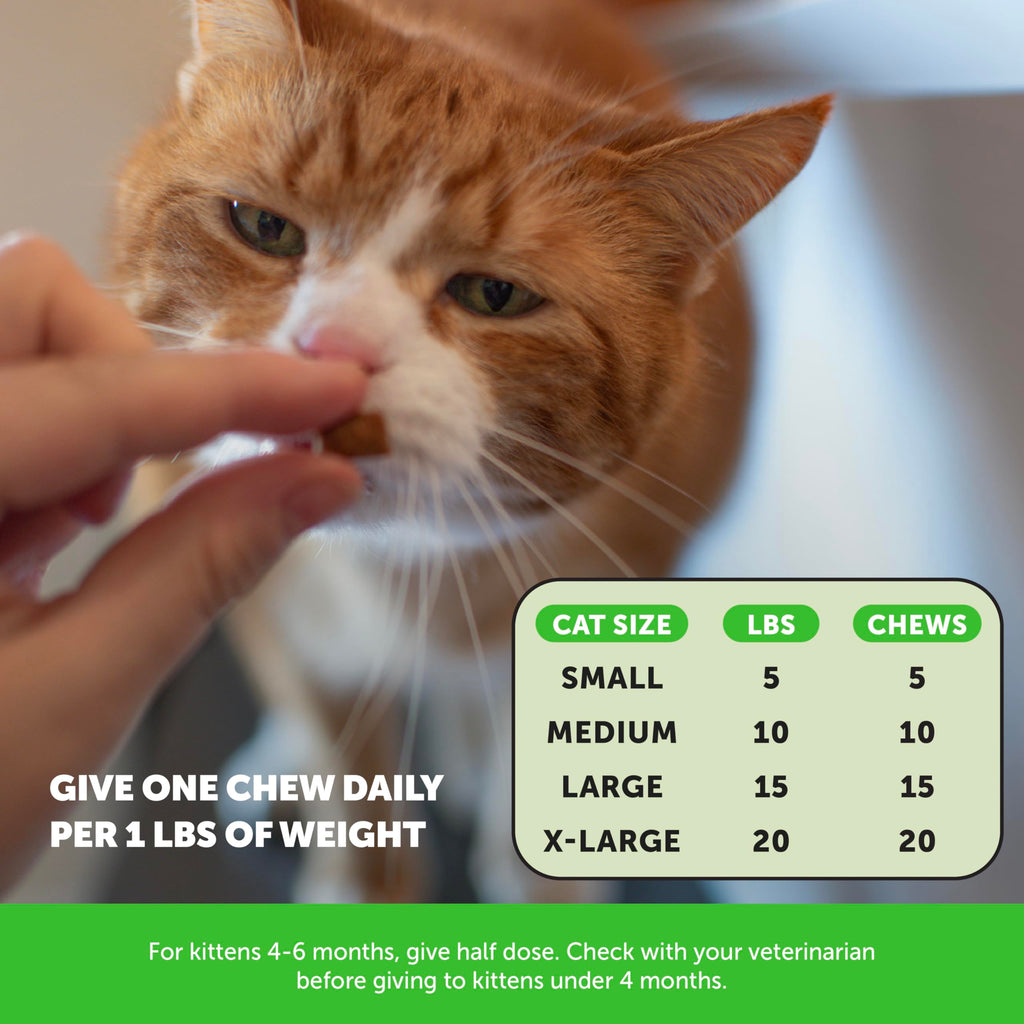 Chicken Cat Hairball Remedy Chews K67048