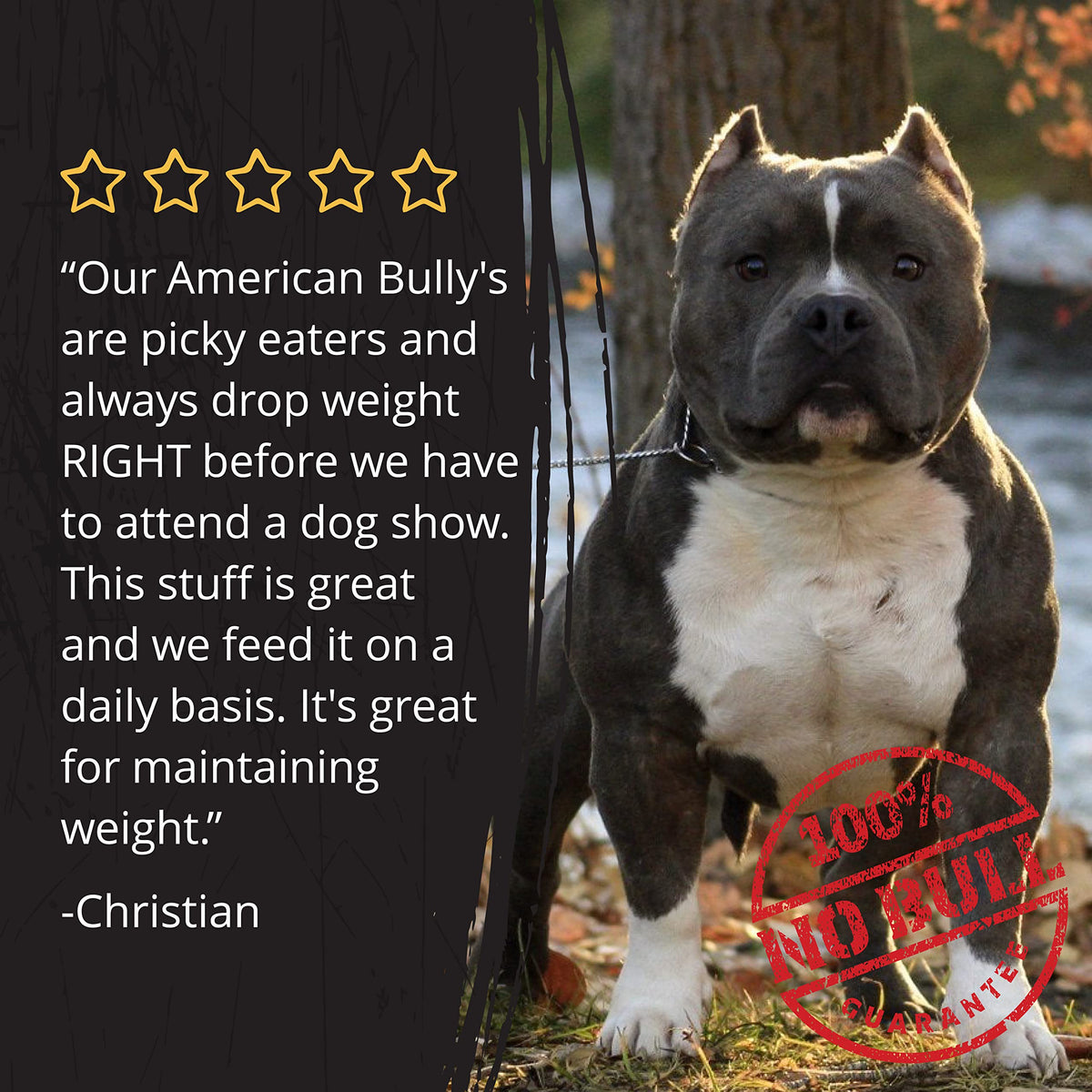 Large-Dog Bundle with 5-in-1 Dog-Food Topper and Weight Gainer Z468