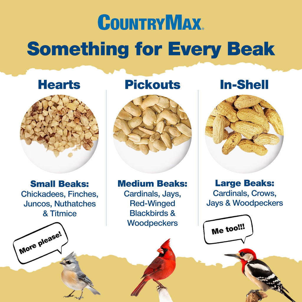 5LB In-Shell Raw Peanuts P815