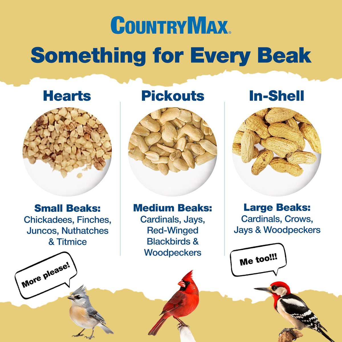 5LB In-Shell Raw Peanuts P815
