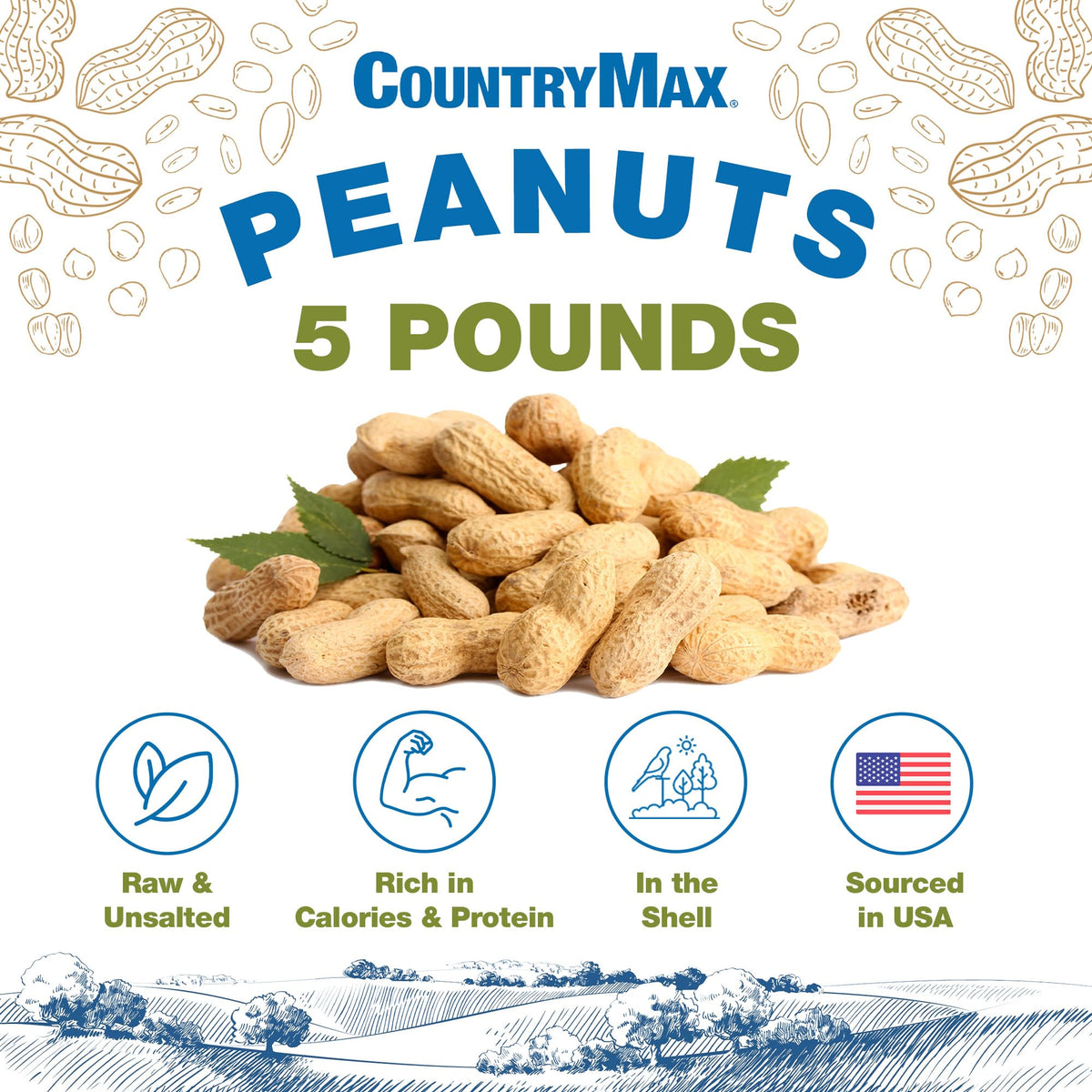5LB In-Shell Raw Peanuts P815