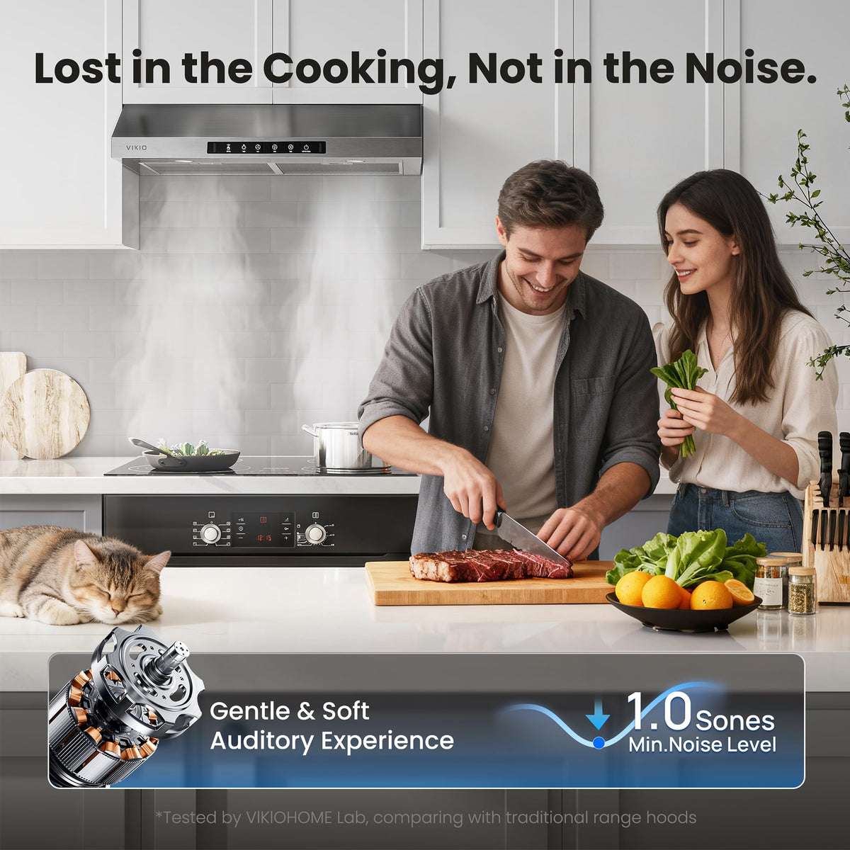 30 Inch Under Cabinet Range Hood 900 CFM Dual Motor Y5667