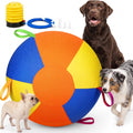 Inflatable Dog Ball with Handle Cover & Pump 18in Z783