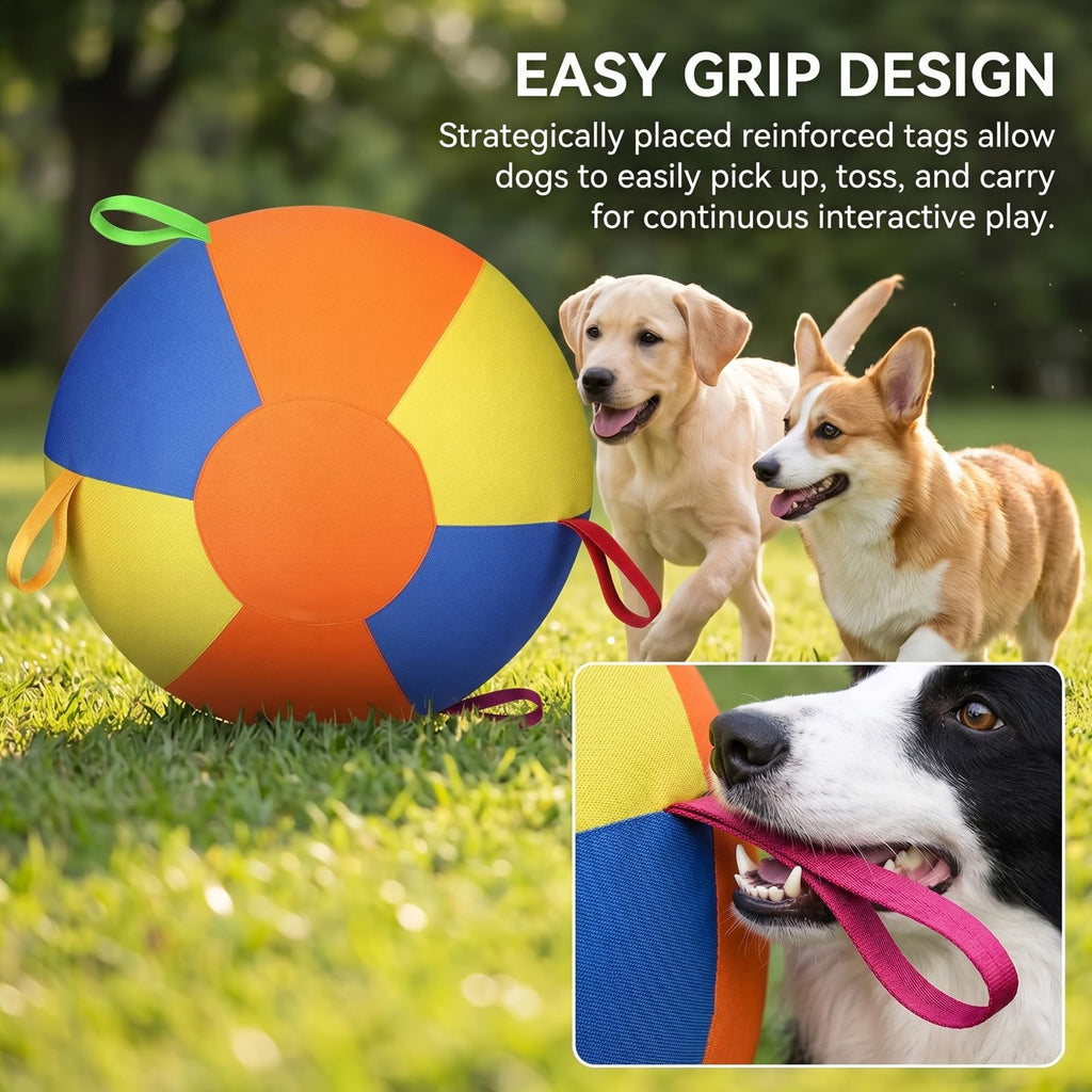 Inflatable Dog Ball with Handle Cover & Pump 18in Z783