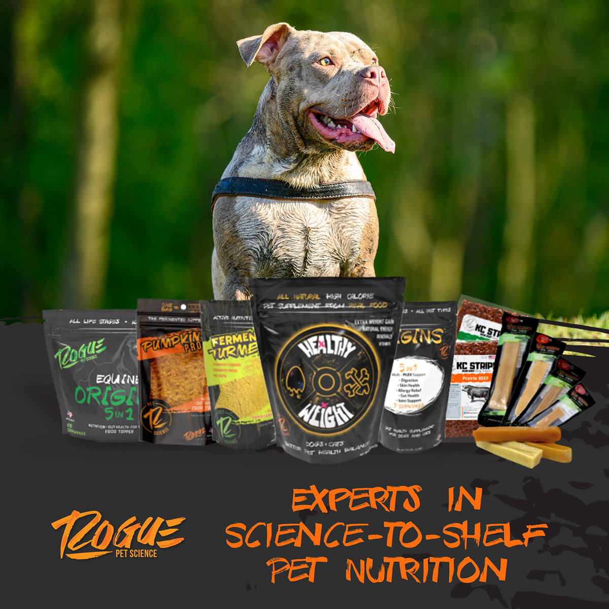 Large-Dog Bundle with 5-in-1 Dog-Food Topper and Weight Gainer Z468