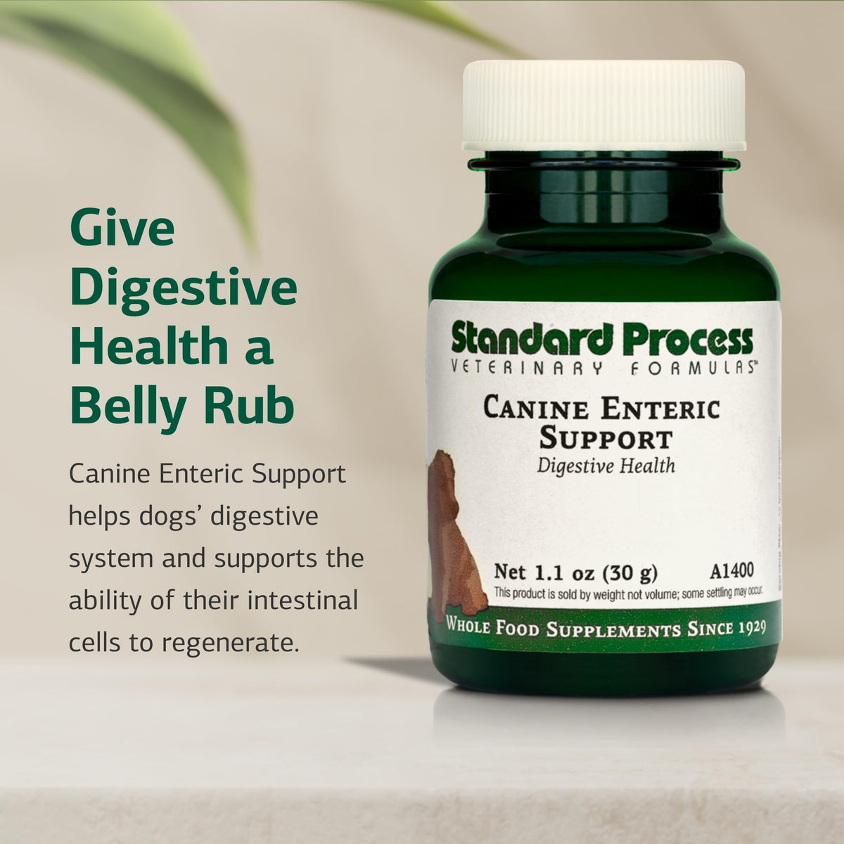 Canine Enteric Support 30 g M649864