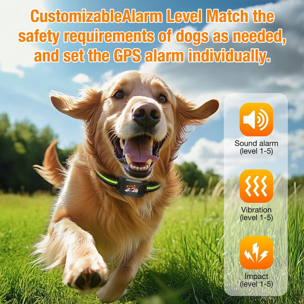 Wireless Dog Fence System with Training Collar F14425