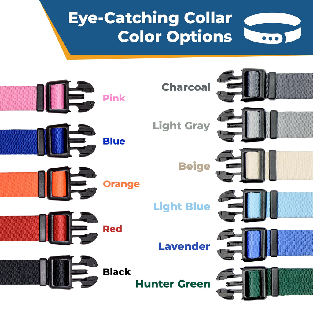 Personalized Dog Collar X5542