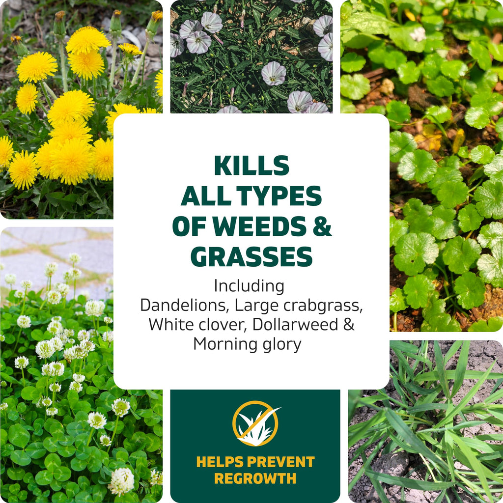 Weed & Grass Killer Kit, 64 Oz V2176