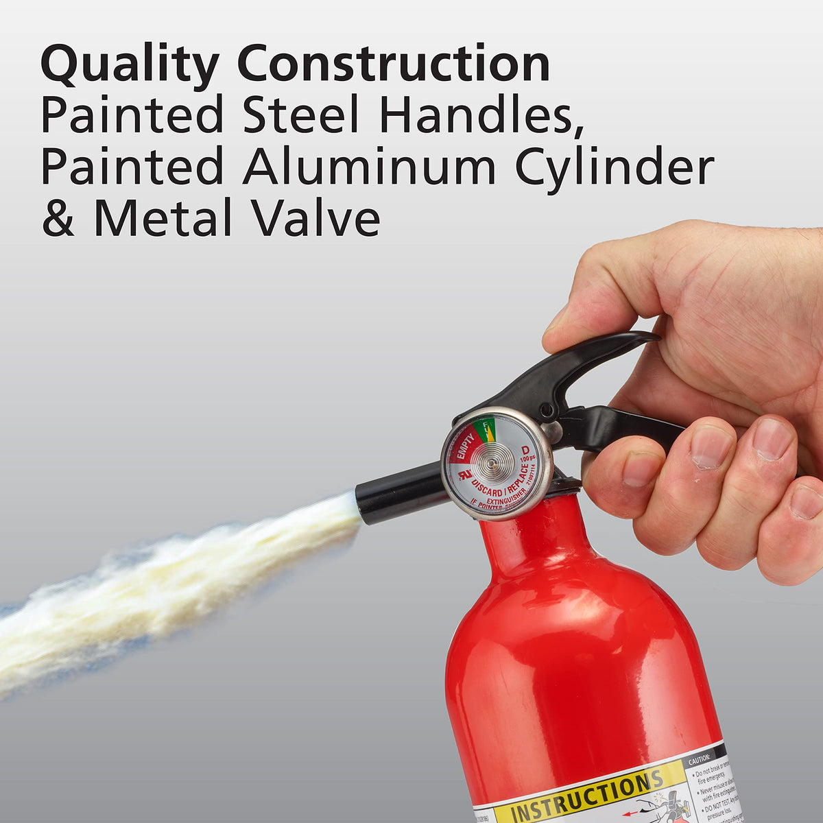 Red 2 Pack Dry Chemical Fire Extinguisher M938884