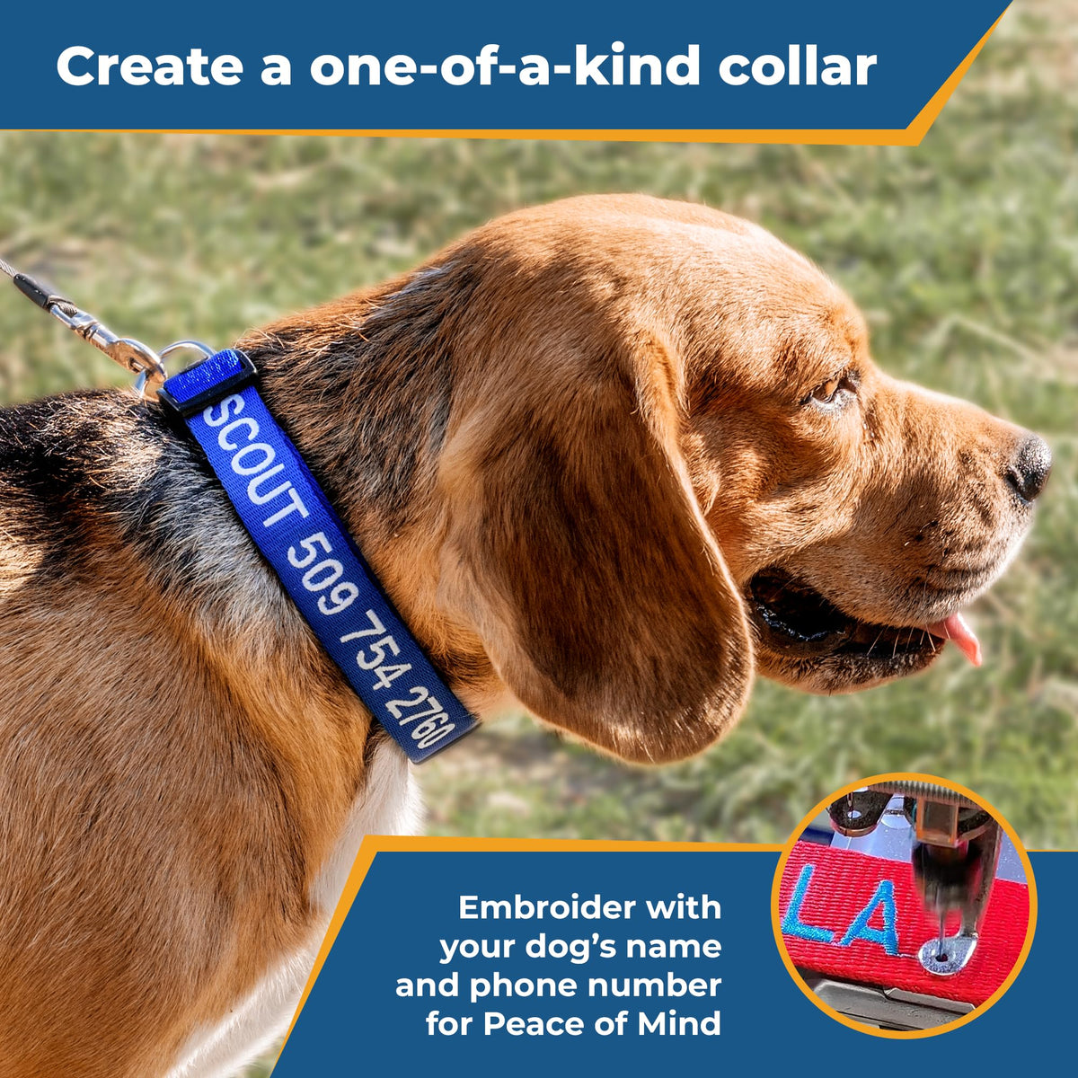 Personalized Dog Collar X5542