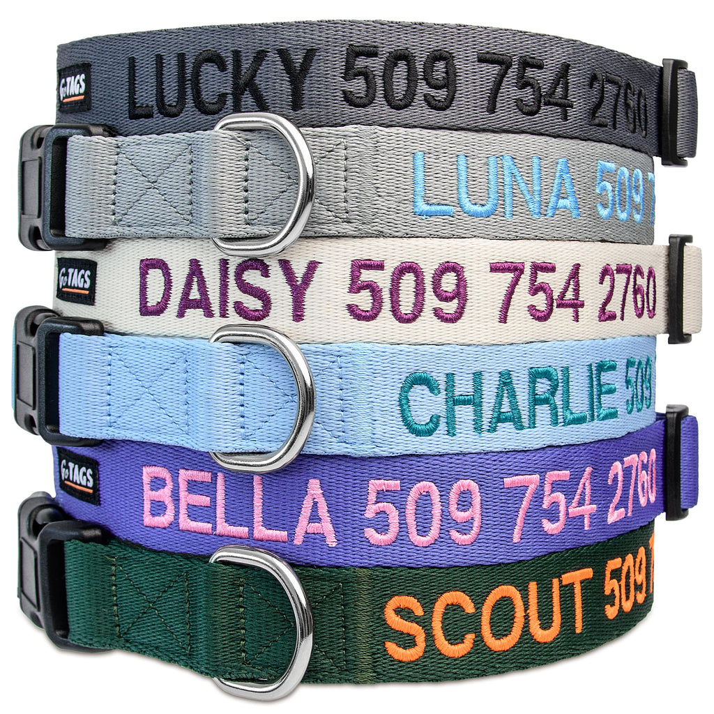 Personalized Dog Collar X5542